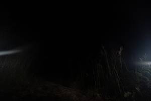 BIB: 
                            <button type="button" onclick="openModal(16050380)" class="btn btn-primary btn-sm float-right btn-popup" data-toggle="modal" data-target=".modal-high-quality">
                        <i class="fas fa-shopping-cart"></i> Add to Cart
                    </button>
                                            <button type="button" onclick="isThisMe(16050380, true)" class="btn btn-success btn-sm float-right btn-popup btn-isme hidden" data-toggle="tooltip" data-placement="bottom" title="นี่คือรูปของคุณใช่ไหม คลิกที่นี่เพื่อเอาเข้าอัลบั้ม">
                        <i class="fas fa-plus"></i> Add to album
                    </button>
                    <button type="button" onclick="isThisMe(16050380, false)" class="btn btn-warning btn-sm float-right btn-popup btn-isnotme hidden">
                        <i class="fas fa-ban"></i> Remove from album
                    </button>